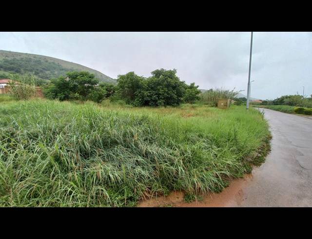 LAND FOR SALE IN LADY SELBORNE